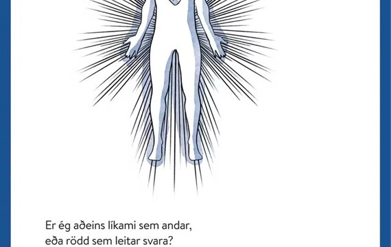 Fernuflug mjólkursamsölunnar