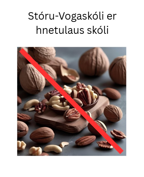 Hnetulaus skóli